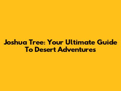 Joshua Tree: Your Ultimate Guide To Desert Adventures