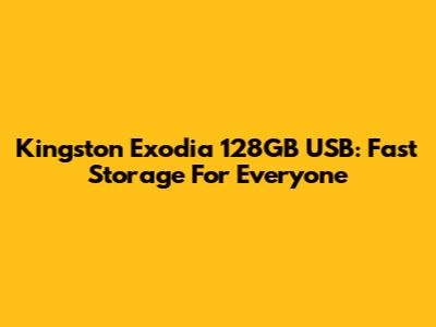 Kingston Exodia 128GB USB: Fast Storage For Everyone