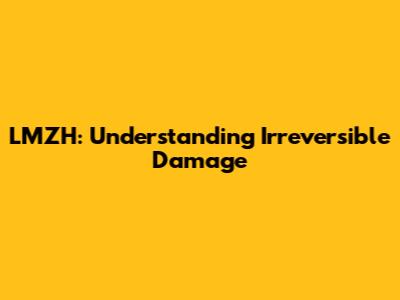 LMZH: Understanding Irreversible Damage