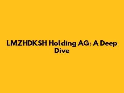 LMZHDKSH Holding AG: A Deep Dive