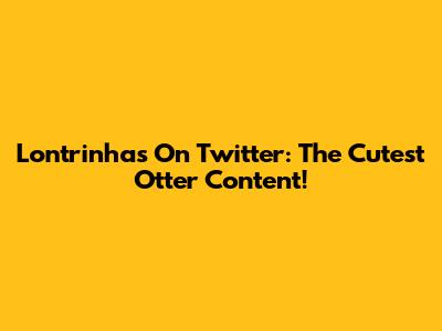 Lontrinhas On Twitter: The Cutest Otter Content!