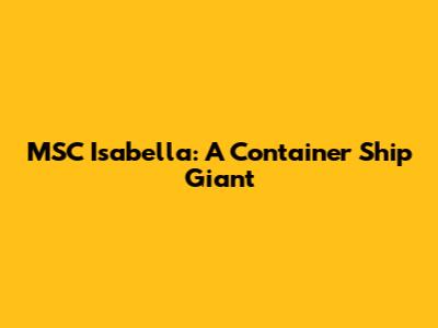 MSC Isabella: A Container Ship Giant