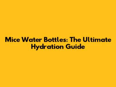Mice Water Bottles: The Ultimate Hydration Guide