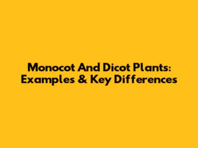 Monocot And Dicot Plants: Examples & Key Differences