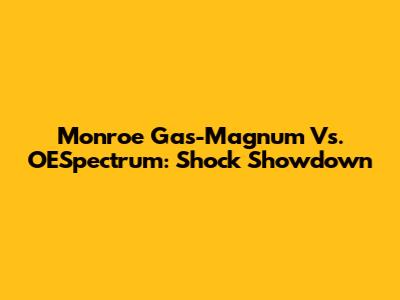 Monroe Gas-Magnum Vs. OESpectrum: Shock Showdown