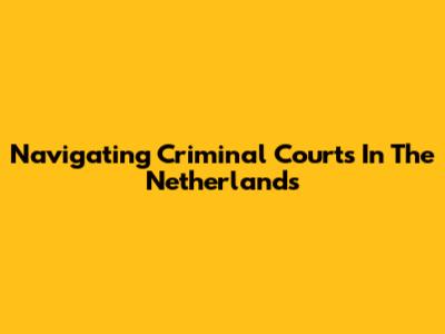 Navigating Criminal Courts In The Netherlands