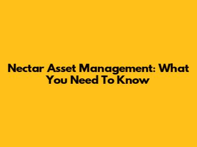 Nectar Asset Management: What You Need To Know