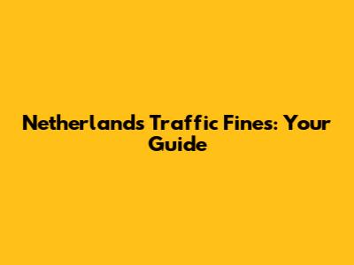 Netherlands Traffic Fines: Your Guide
