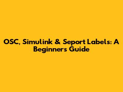 OSC, Simulink & Seport Labels: A Beginner's Guide