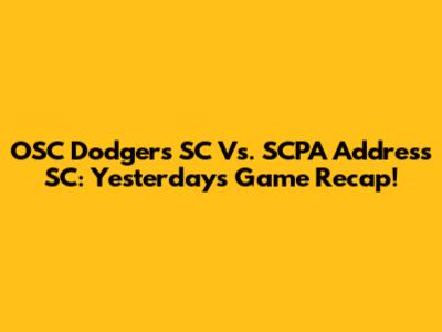OSC Dodgers SC Vs. SCPA Address SC: Yesterday's Game Recap!