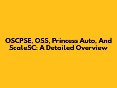 OSCPSE, OSS, Princess Auto, And ScaleSC: A Detailed Overview