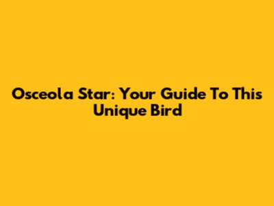 Osceola Star: Your Guide To This Unique Bird