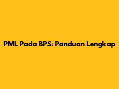 PML Pada BPS: Panduan Lengkap