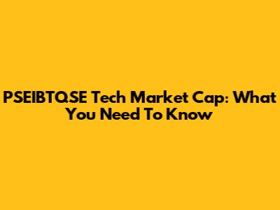 PSEIBTQSE Tech Market Cap: What You Need To Know