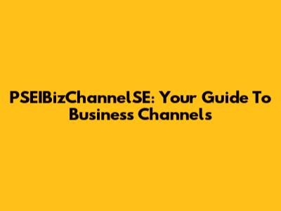 PSEIBizChannelSE: Your Guide To Business Channels