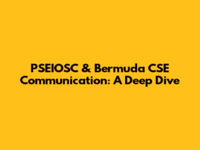 PSEIOSC & Bermuda CSE Communication: A Deep Dive
