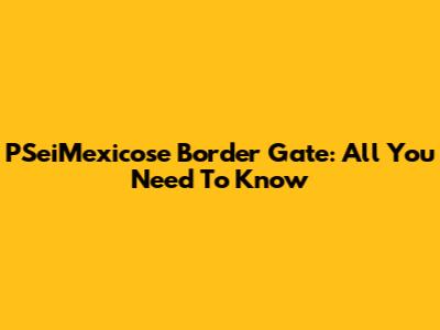 PSeiMexicose Border Gate: All You Need To Know