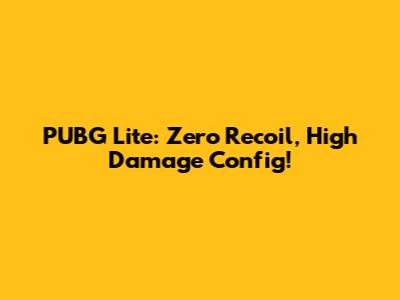 PUBG Lite: Zero Recoil, High Damage Config!