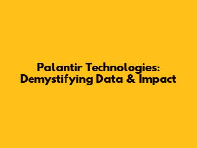 Palantir Technologies: Demystifying Data & Impact