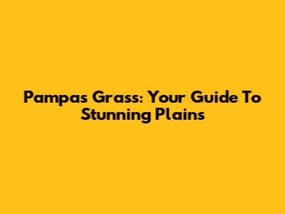 Pampas Grass: Your Guide To Stunning Plains