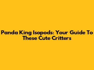 Panda King Isopods: Your Guide To These Cute Critters
