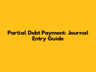 Partial Debt Payment: Journal Entry Guide