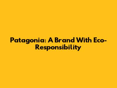 Patagonia: A Brand With Eco-Responsibility