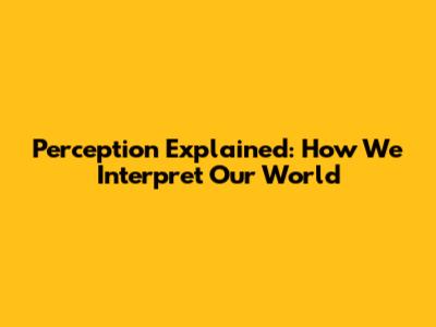Perception Explained: How We Interpret Our World