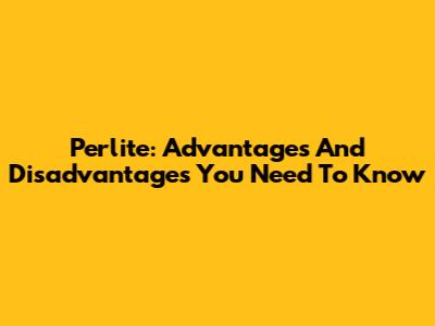 Perlite: Advantages And Disadvantages You Need To Know