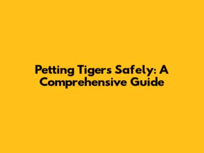 Petting Tigers Safely: A Comprehensive Guide