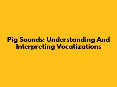 Pig Sounds: Understanding And Interpreting Vocalizations
