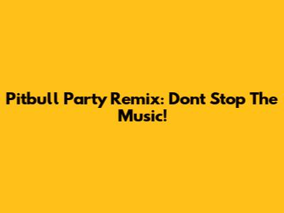 Pitbull Party Remix: Don't Stop The Music!