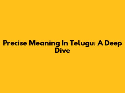 Precise Meaning In Telugu: A Deep Dive