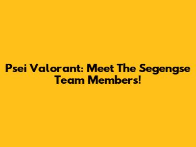 Psei Valorant: Meet The Segengse Team Members!