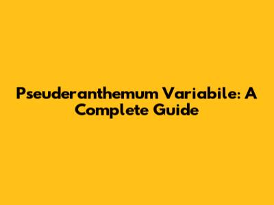 Pseuderanthemum Variabile: A Complete Guide