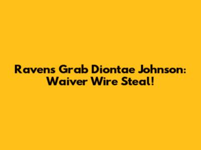 Ravens Grab Diontae Johnson: Waiver Wire Steal!