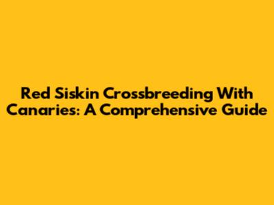 Red Siskin Crossbreeding With Canaries: A Comprehensive Guide