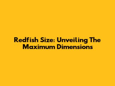 Redfish Size: Unveiling The Maximum Dimensions
