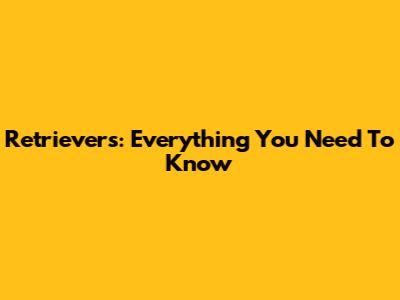 Retrievers: Everything You Need To Know