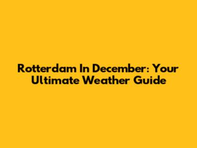 Rotterdam In December: Your Ultimate Weather Guide