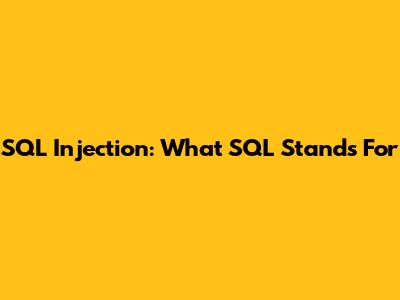 SQL Injection: What SQL Stands For