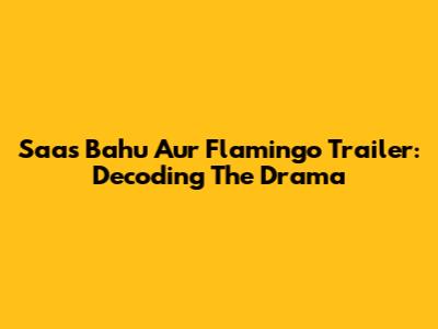 Saas Bahu Aur Flamingo Trailer: Decoding The Drama