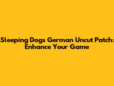 Sleeping Dogs German Uncut Patch: Enhance Your Game