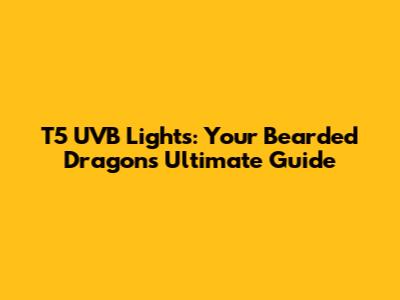 T5 UVB Lights: Your Bearded Dragon's Ultimate Guide