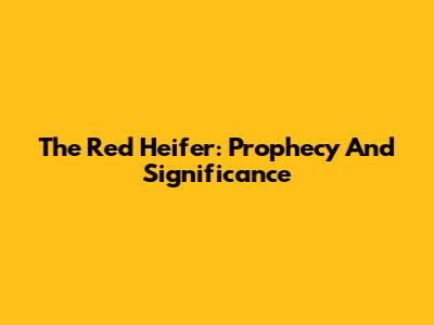 The Red Heifer: Prophecy And Significance