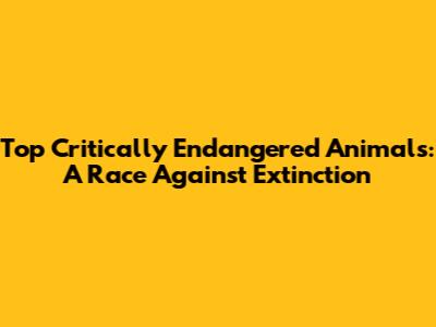 Top Critically Endangered Animals: A Race Against Extinction