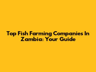 Top Fish Farming Companies In Zambia: Your Guide