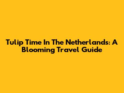 Tulip Time In The Netherlands: A Blooming Travel Guide