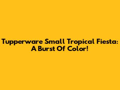 Tupperware Small Tropical Fiesta: A Burst Of Color!