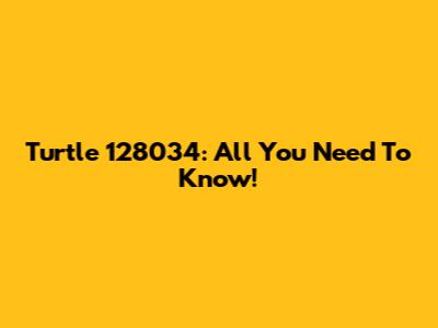 Turtle 128034: All You Need To Know!
